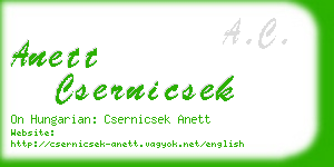 anett csernicsek business card